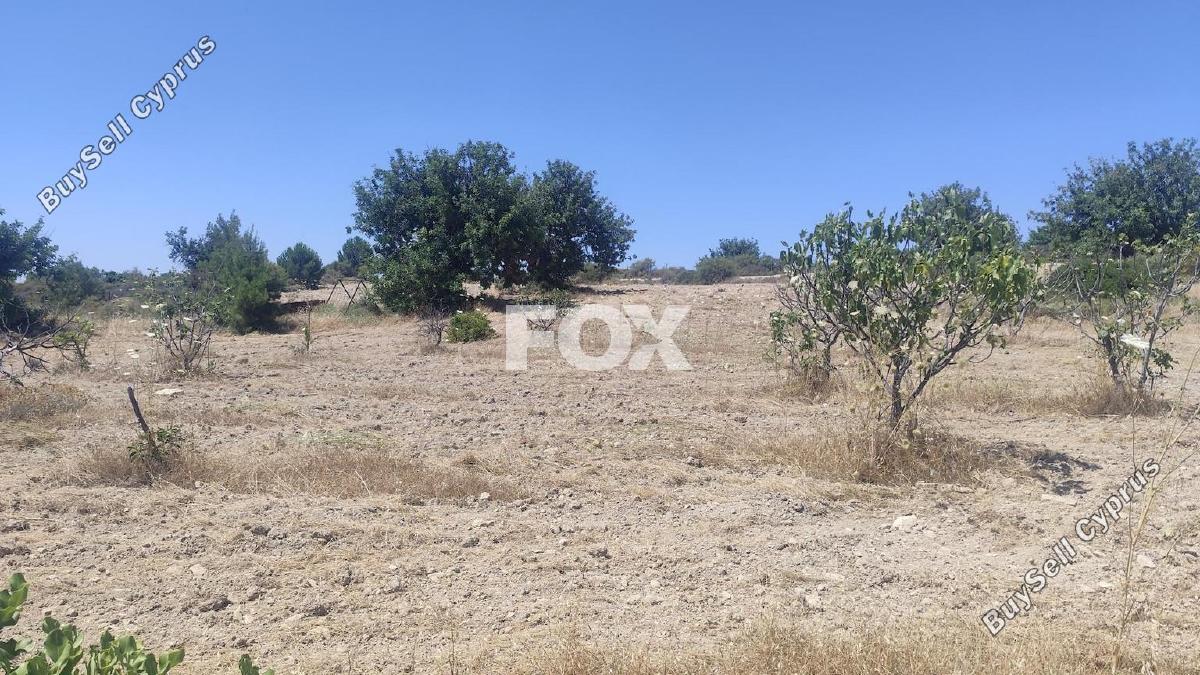land for sale anogyra limassol 8908188 image 17399093