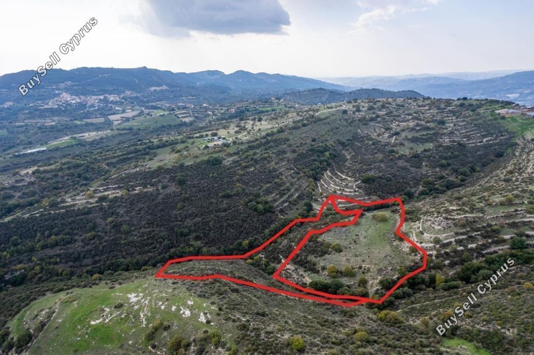 land for sale dora limassol 8157188 image 13494391