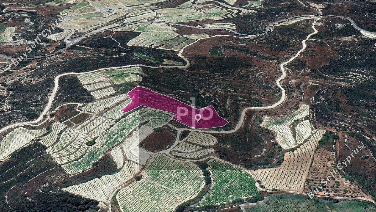 land for sale koilani limassol 8275188 image 15158170