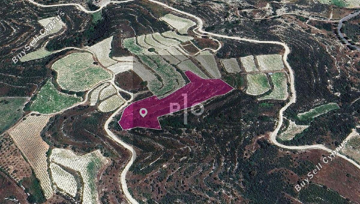 land for sale koilani limassol 8275188 image 15158171