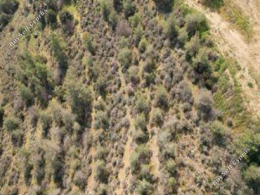 land for sale mosfiloti larnaca 8562188 image 15594175