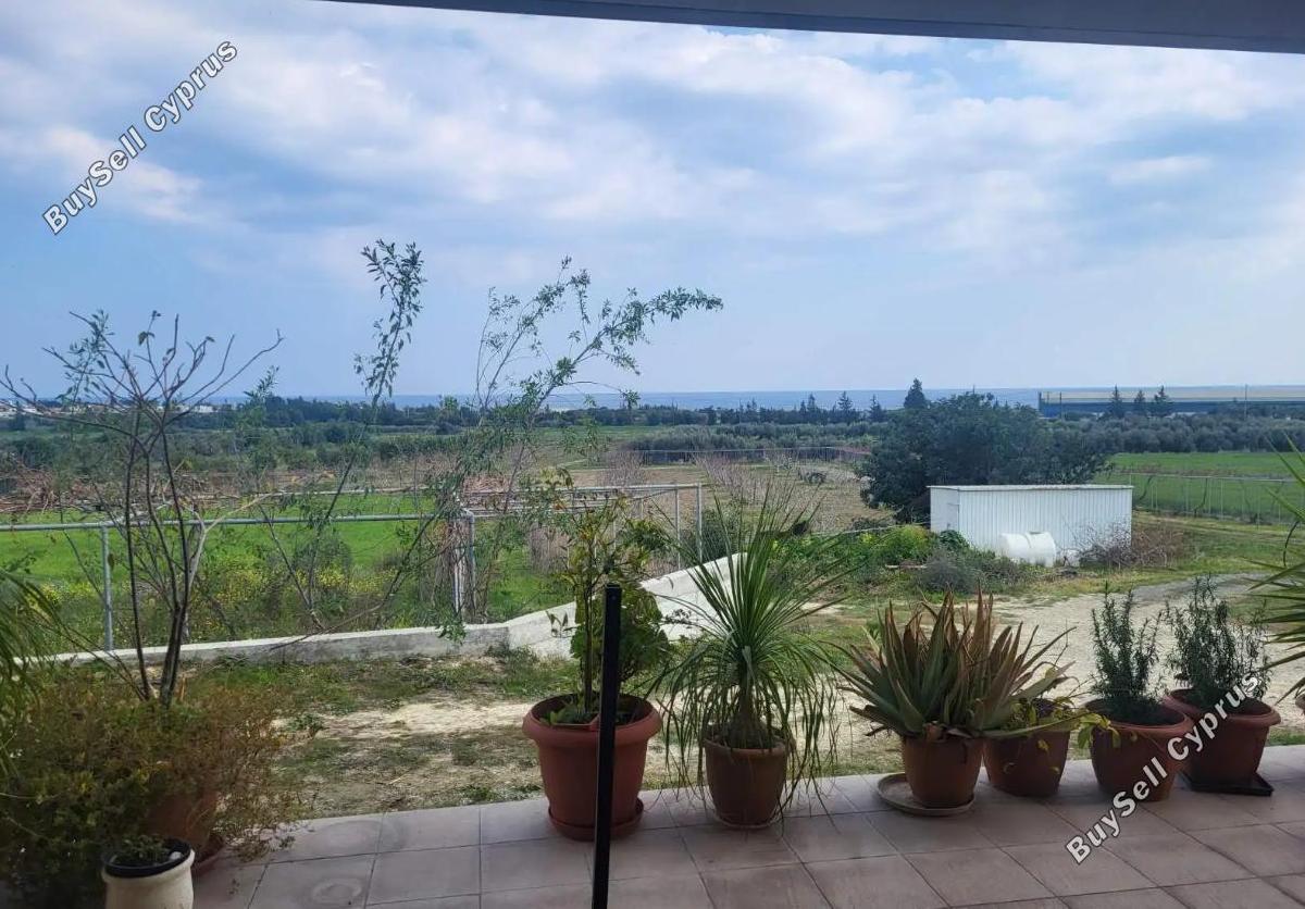 land for sale zygi larnaca 7899188 image 11101023
