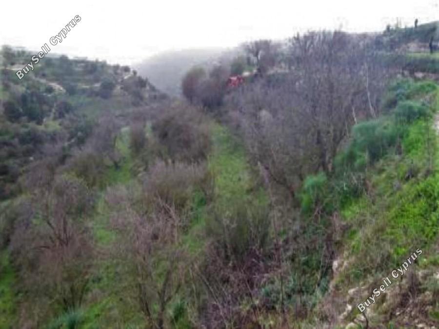 land for sale kallepeia paphos 8630388 image 15872988