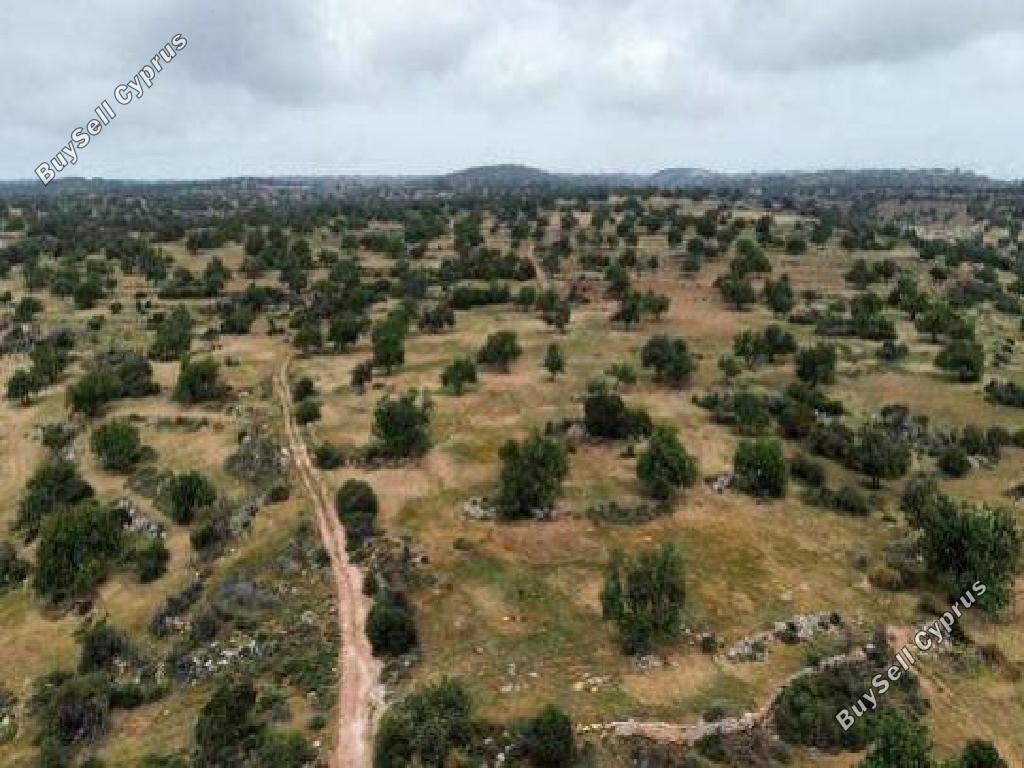 land for sale pachna limassol 8139388 image 13386966