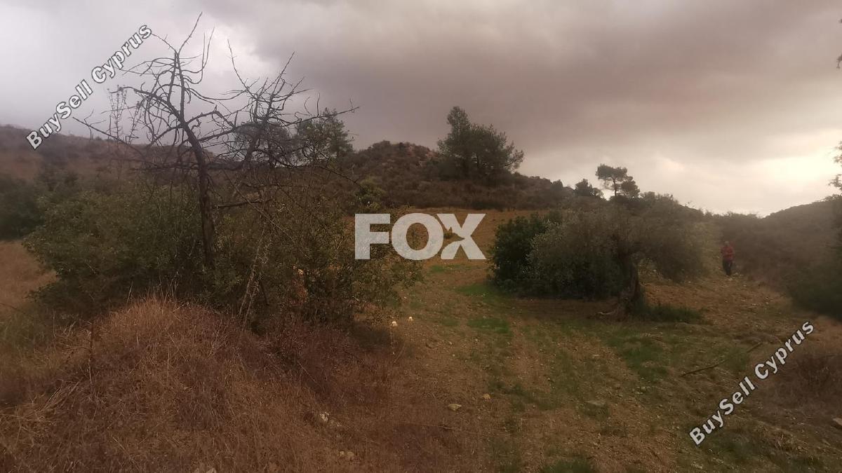 land for sale pyrgos limassol limassol 8791388 image 16674754
