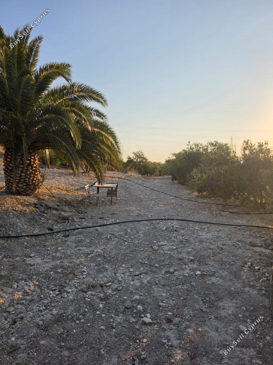 plot for sale aradippou larnaca 8936388 image 17639876