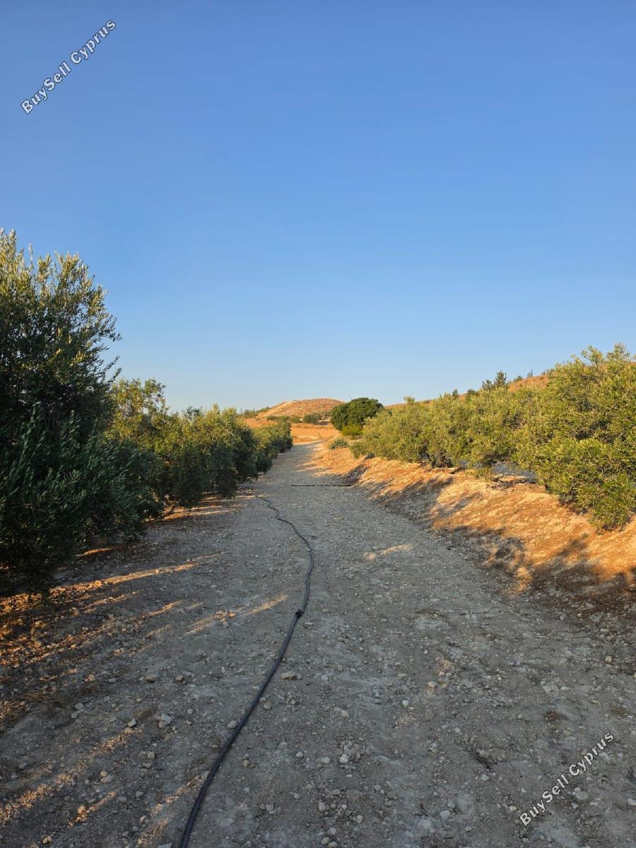 plot for sale aradippou larnaca 8936388 image 17639881