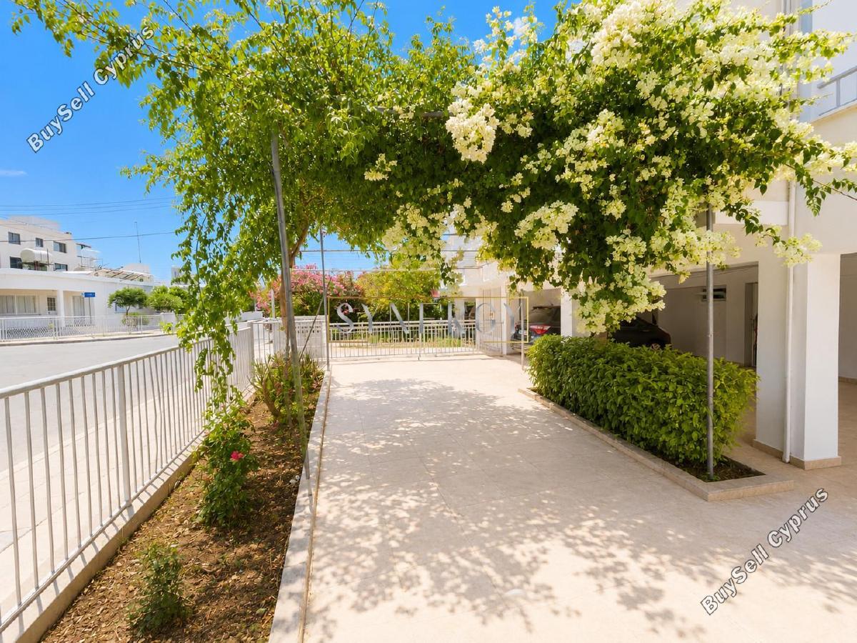 4 bedroom detached house for sale agios dometios nicosia 8917488 image 17549338