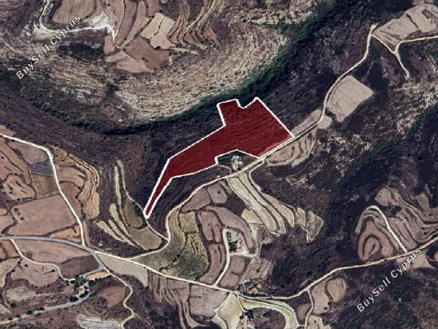land for sale kato arodes paphos 8399488 image 17043601