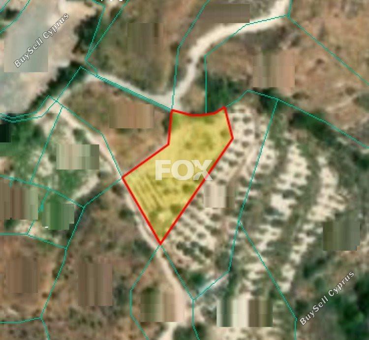 1673 SQM Land for sale in Vouni, Limassol 5509733