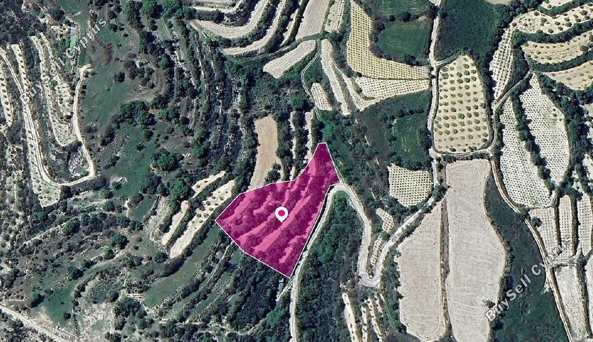 land for sale koili paphos 8237588 image 14231004
