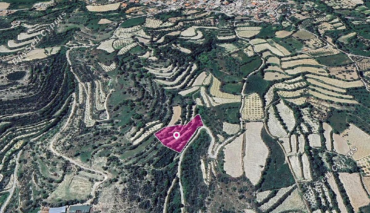 land for sale koili paphos 8237588 image 14231007