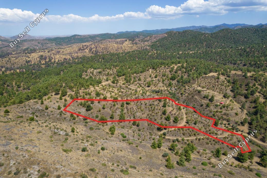 land for sale xyliatos nicosia 839588 image 3480211