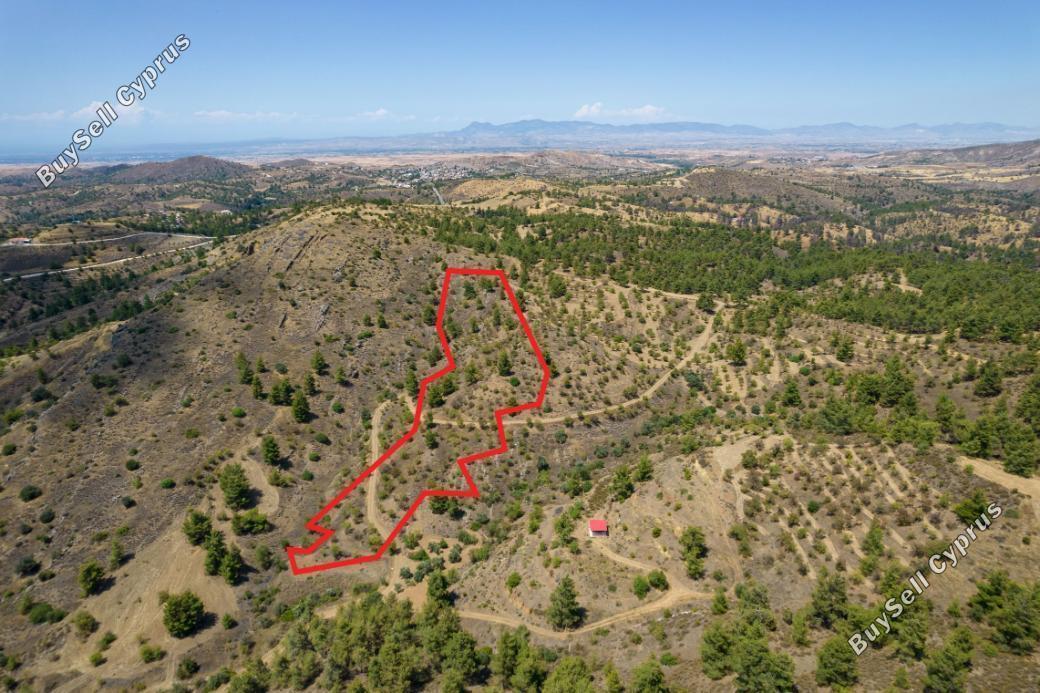 land for sale xyliatos nicosia 839588 image 3520967