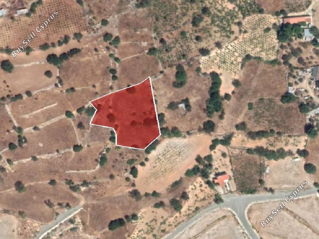 land for sale pachna limassol 8785688 image 16656354