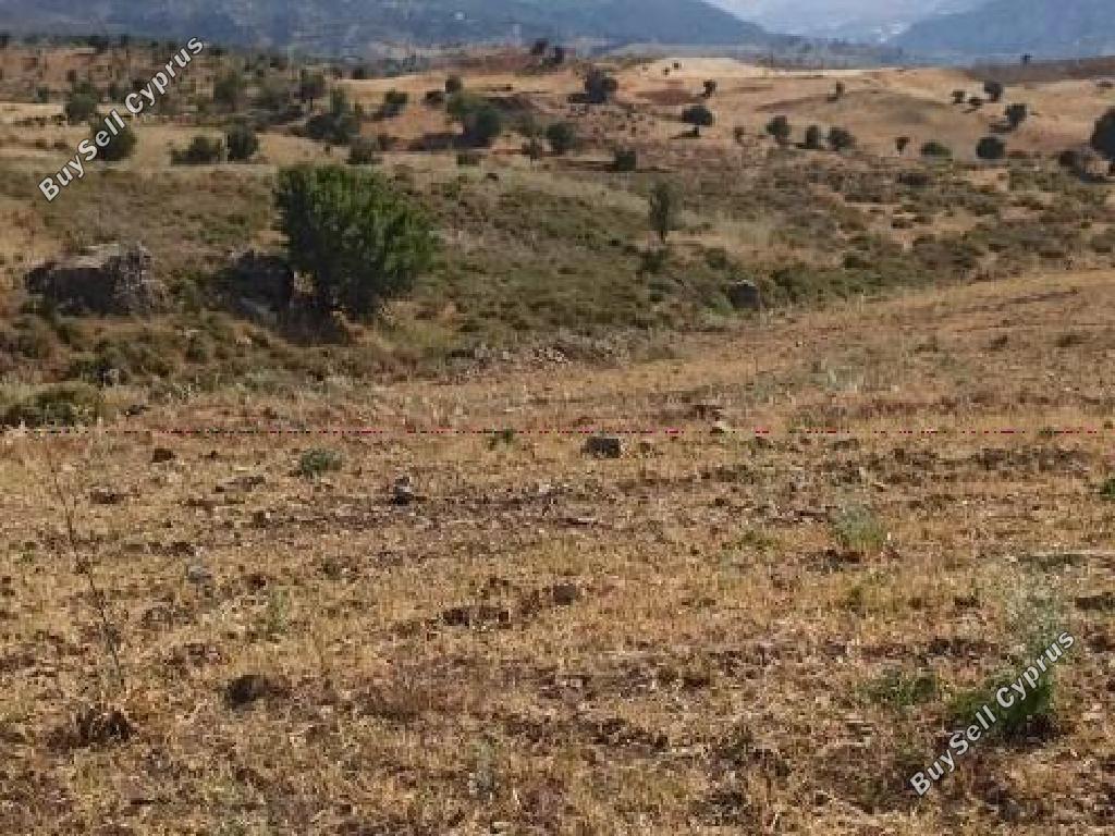 9700 SQM Land for sale in Kelokedara, Paphos 16717595