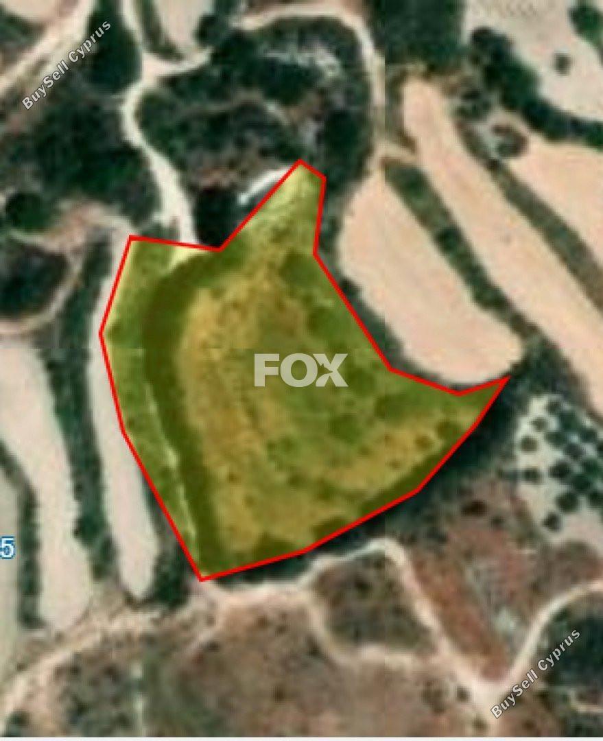 land for sale stroumbi paphos 1160788 image 10031265