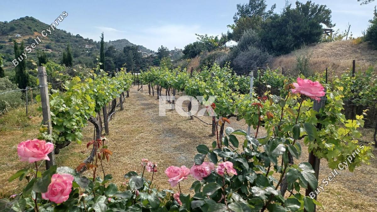 8383 SQM Land for sale in Kellaki, Limassol 16022809