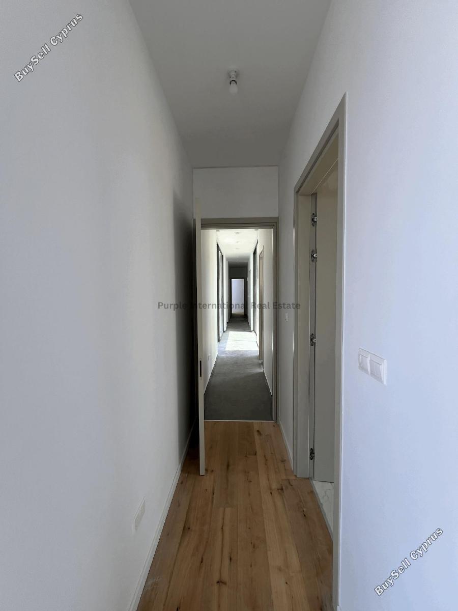 3 bedroom bungalow for sale peyia paphos 7545988 image 14636773