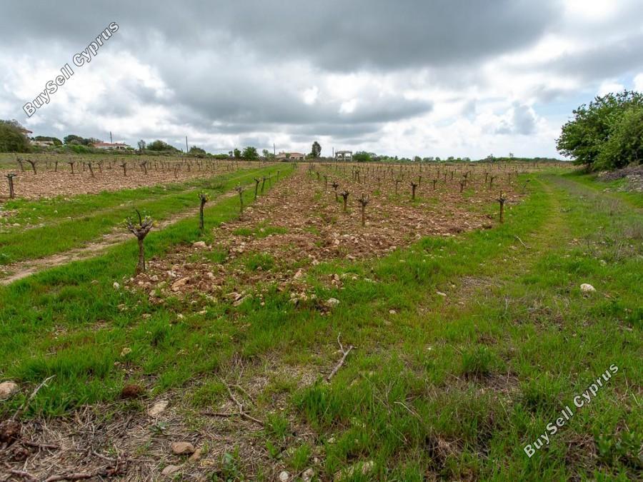 land for sale kathikas paphos 8531988 image 16277400