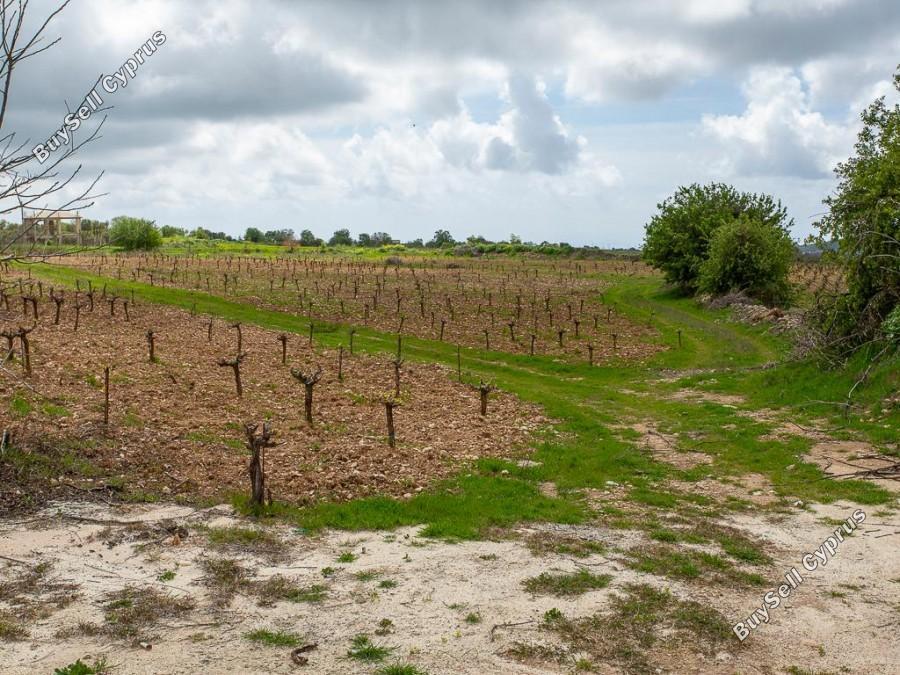 land for sale kathikas paphos 8531988 image 16277403