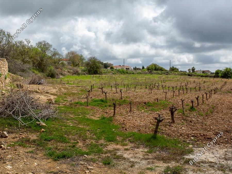 land for sale kathikas paphos 8531988 image 16277404
