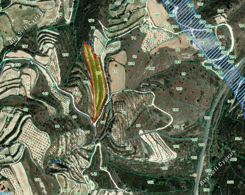 land for sale koili paphos 8791988 image 16690165