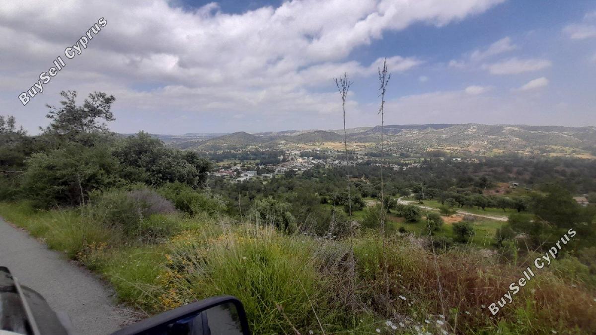 land for sale psevdas larnaca 8457988 image 16632627