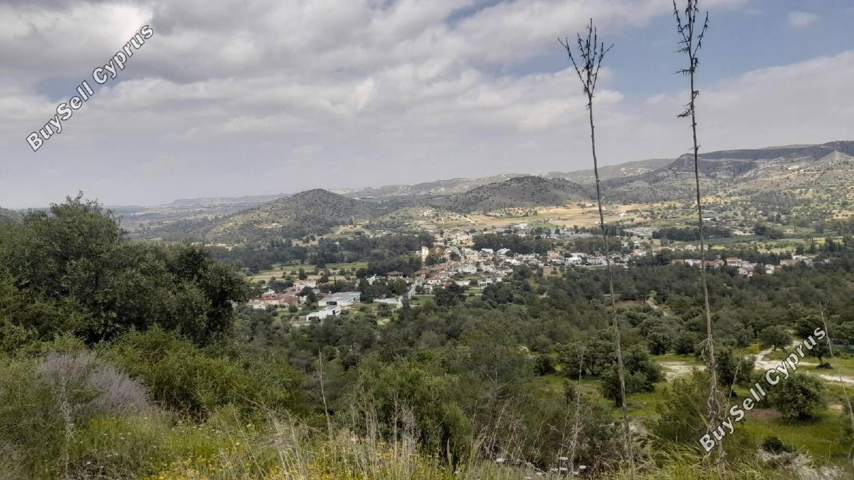 land for sale psevdas larnaca 8457988 image 16632628