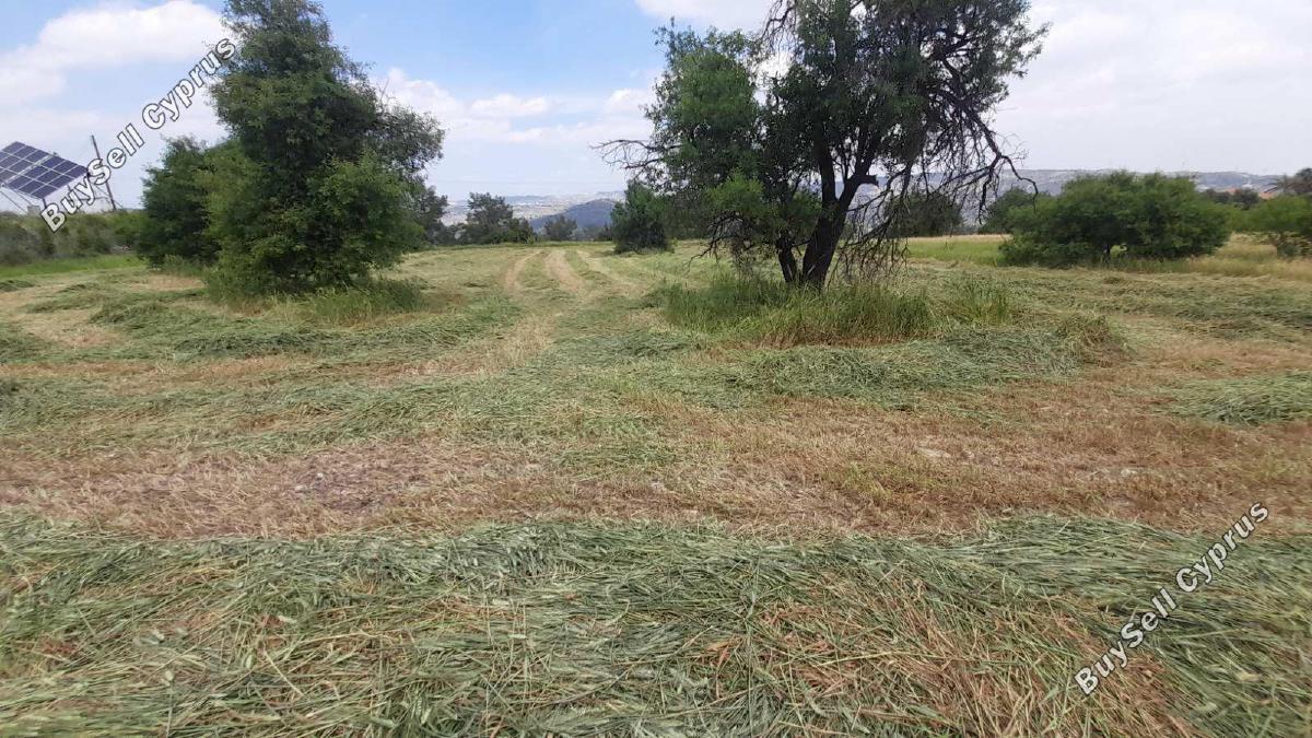 land for sale psevdas larnaca 8457988 image 16632643
