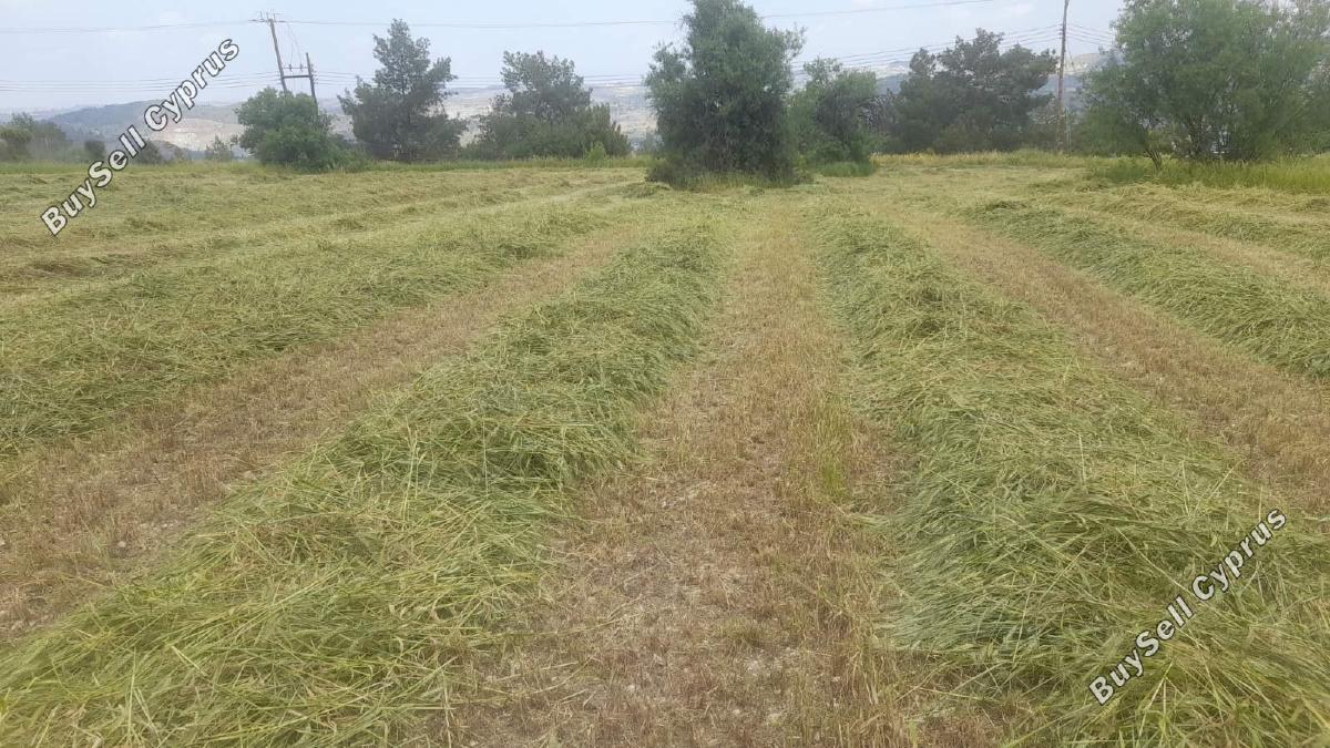land for sale psevdas larnaca 8457988 image 16632645