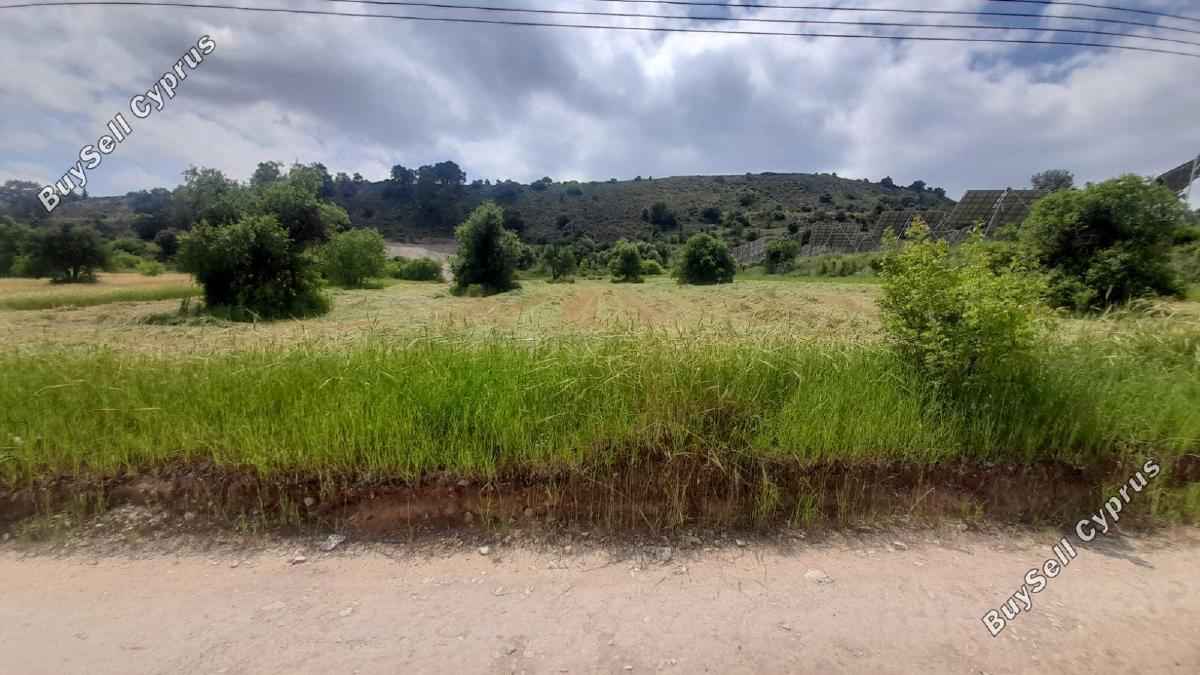 land for sale psevdas larnaca 8457988 image 16632650