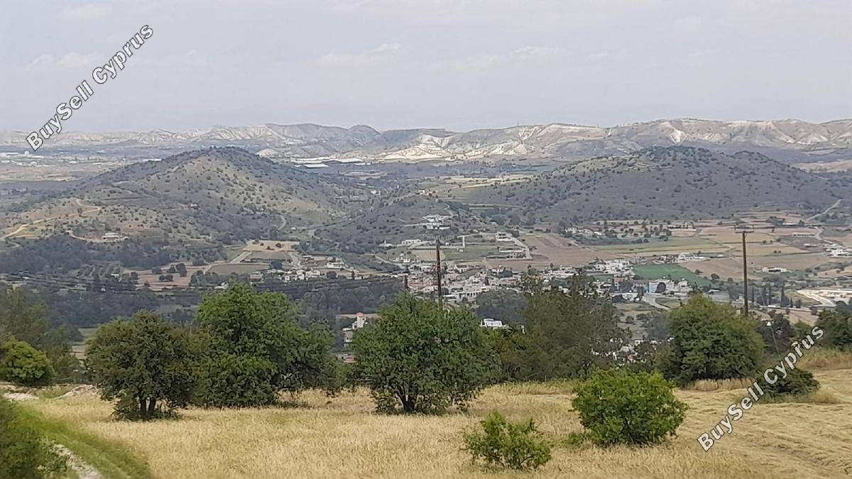 land for sale psevdas larnaca 8457988 image 16632654