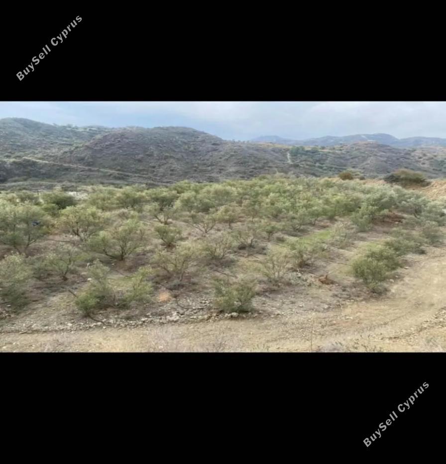land for sale prastio kellakiou limassol 1570098 image 16192997