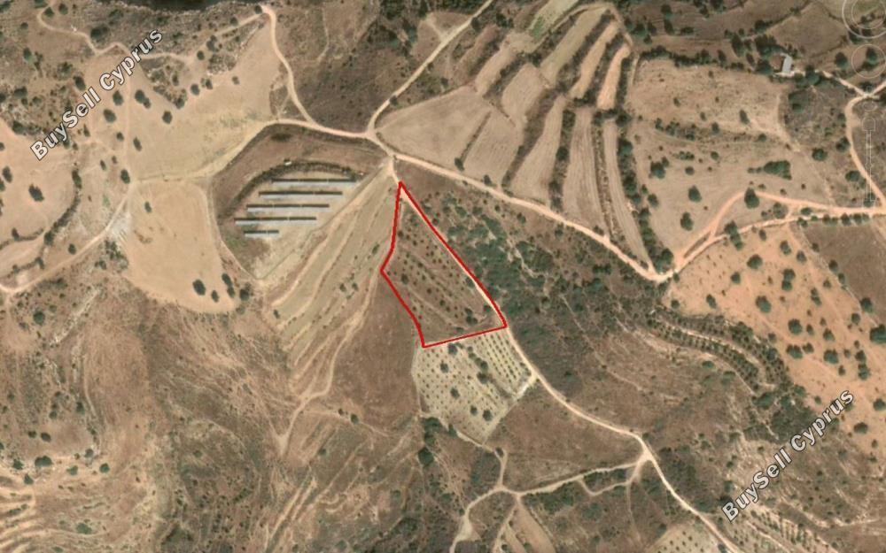 land for sale tala paphos 8630098 image 16879573