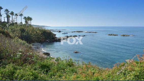 3 bedroom detached house for sale kissonerga paphos 7838198 image 10765886