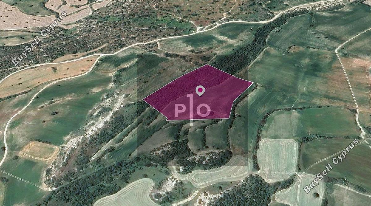 land for sale agios theodoros larnacas larnaca 8275198 image 15158253