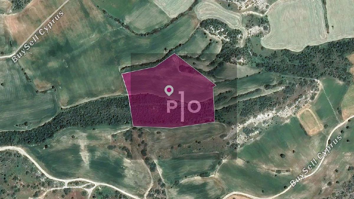 land for sale agios theodoros larnacas larnaca 8275198 image 15158255