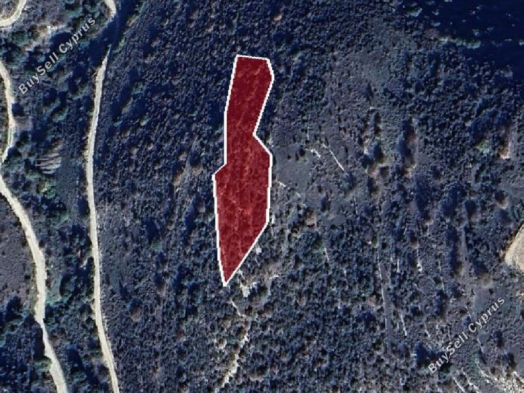 land for sale dora limassol 1270198 image 15599690