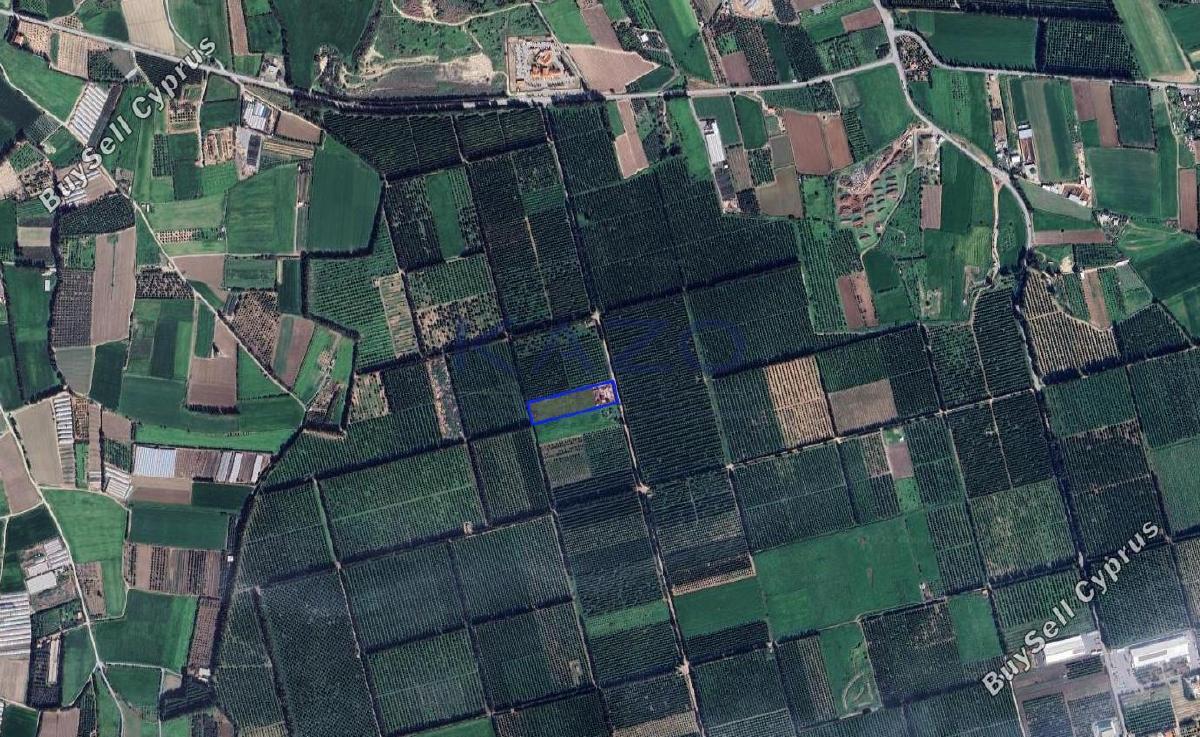 land for sale kolossi limassol 7981198 image 11685145
