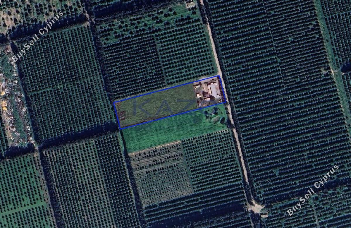 land for sale kolossi limassol 7981198 image 11685147