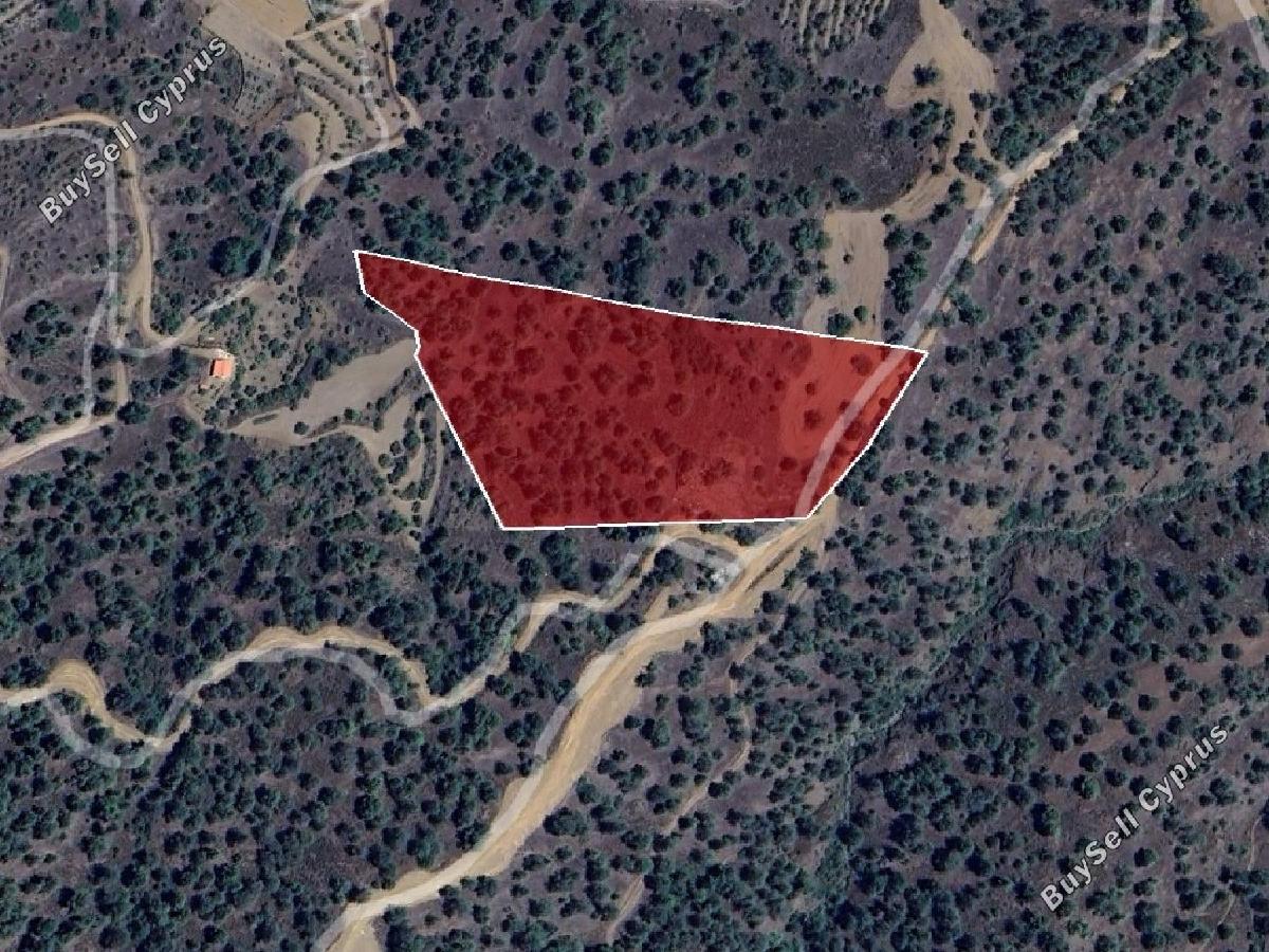 land for sale xyliatos nicosia 8716198 image 16294988