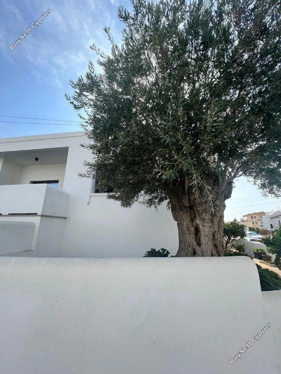 studio office for rent limassol municipality limassol 8753198 image 16508464