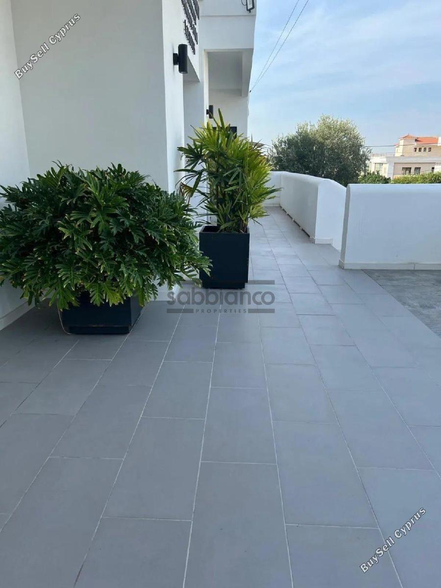 studio office for rent limassol municipality limassol 8753198 image 16508470