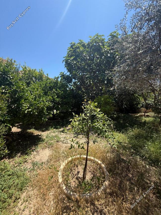 4 bedroom town house for sale kiti larnaca 8705298 image 16249888