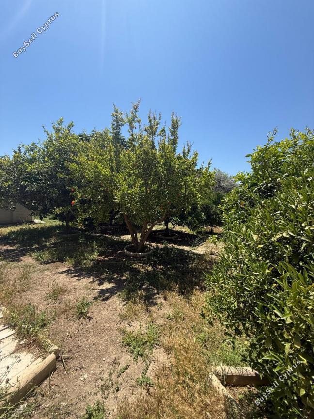 4 bedroom town house for sale kiti larnaca 8705298 image 16249900