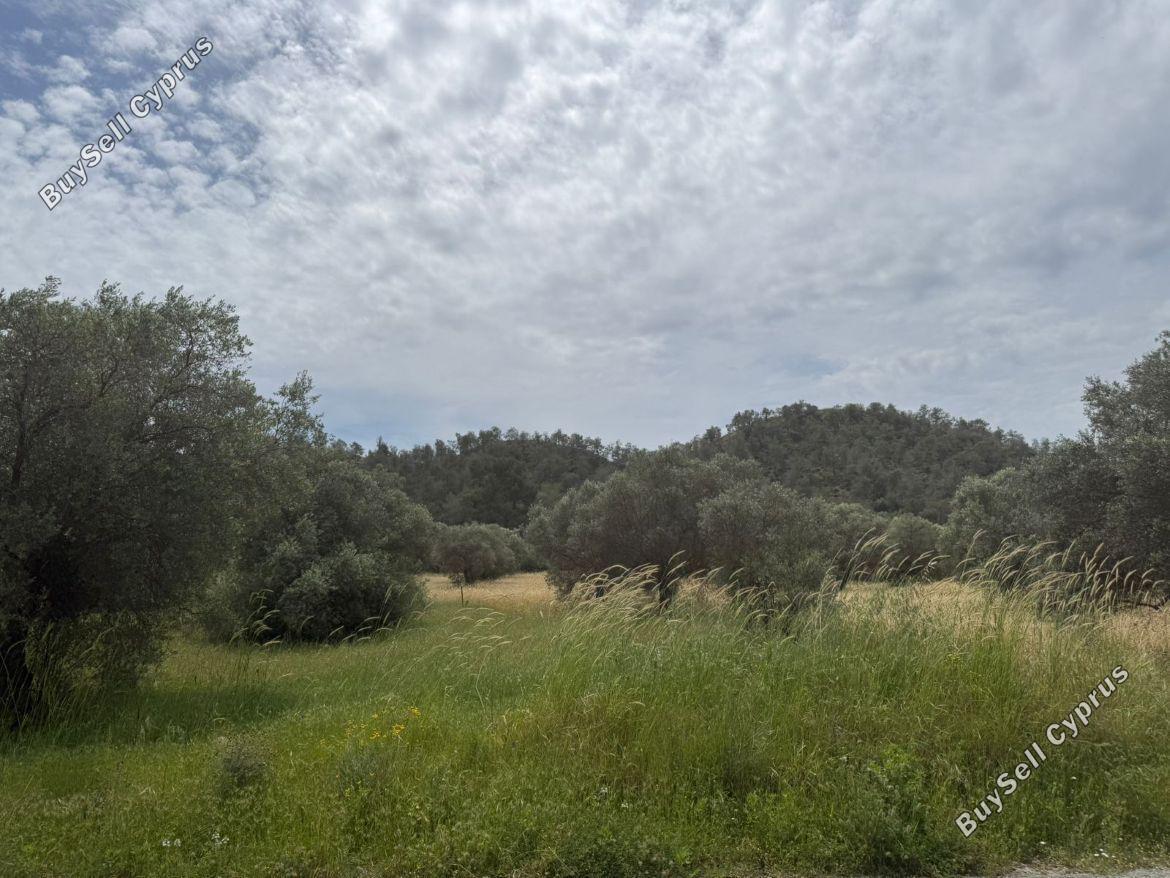 land for sale kornos larnaca 8509298 image 15553946
