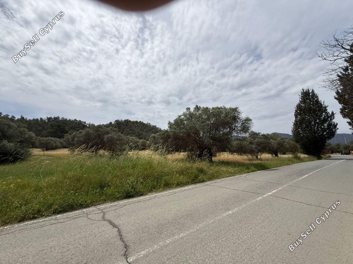 land for sale kornos larnaca 8509298 image 15553947