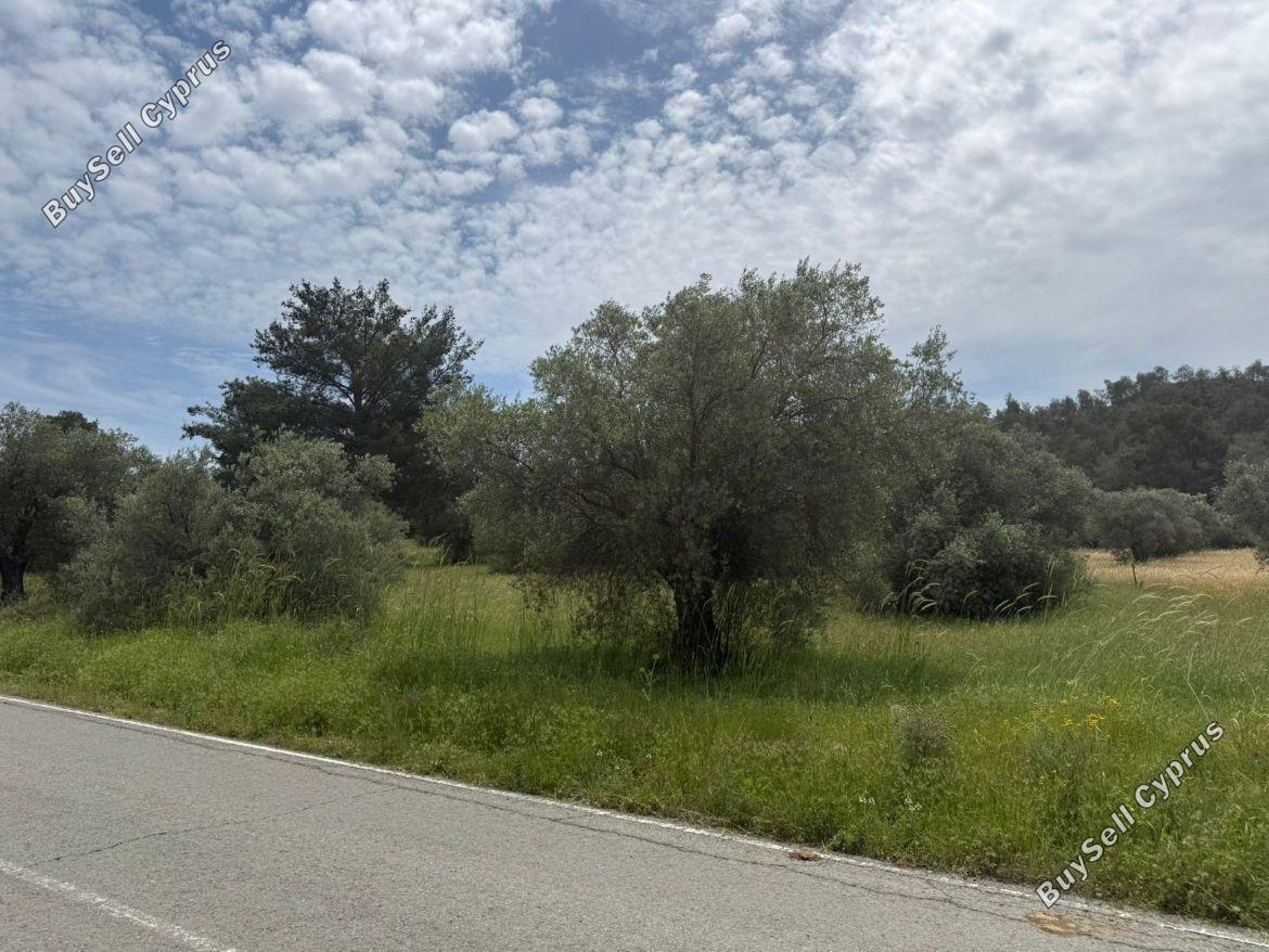 land for sale kornos larnaca 8509298 image 15553948