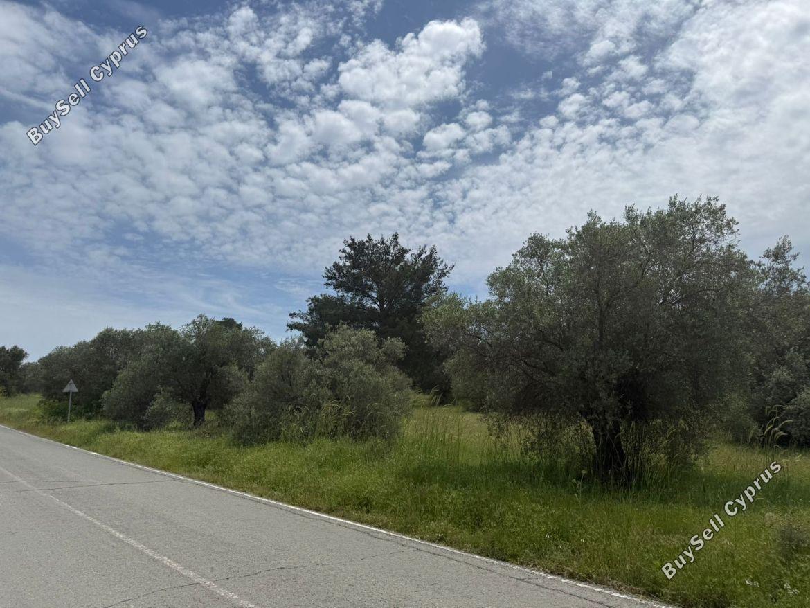 land for sale kornos larnaca 8509298 image 15553949